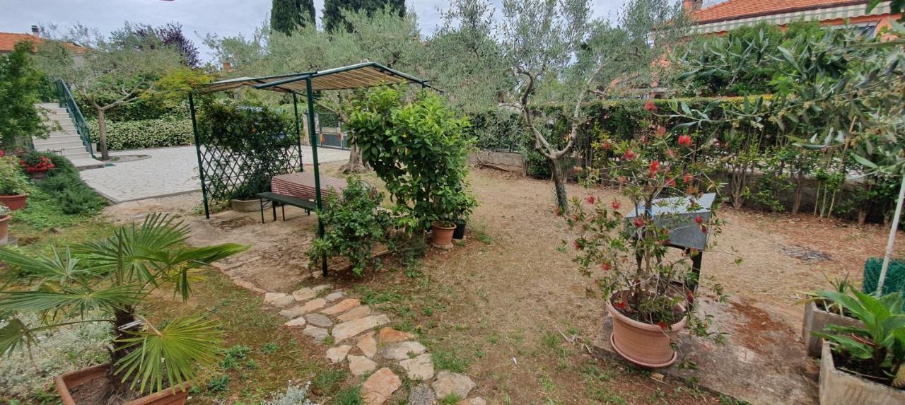 Cecillia Mare Apartments Rovinj Dış mekan fotoğraf