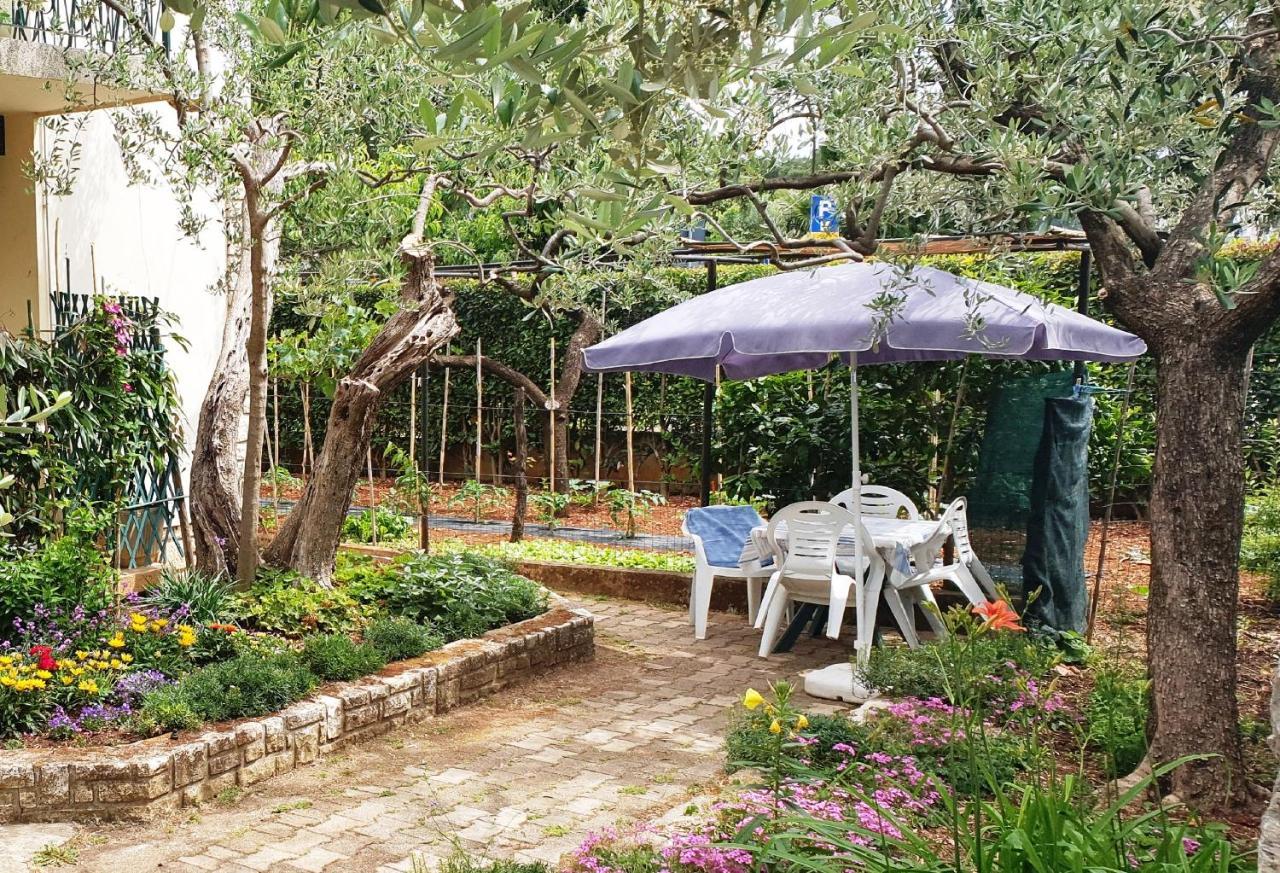 Cecillia Mare Apartments Rovinj Dış mekan fotoğraf